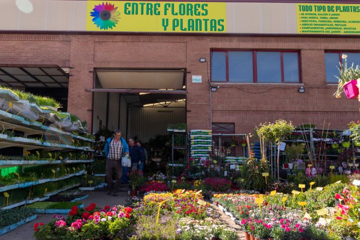Entre Flores y Plantas: producto de garantía adaptado a Soria