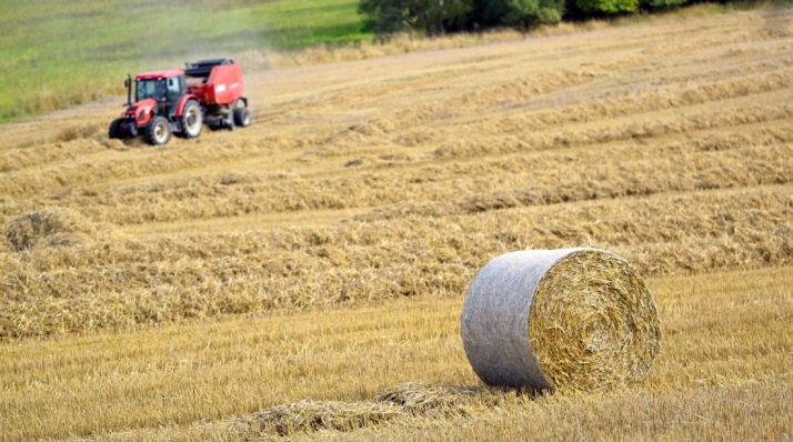 8,1 M&euro; en ayudas para la suscripción de seguros agrarios