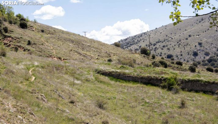 Una de las laderas del castillo, próxima al lugar del hallazgo.