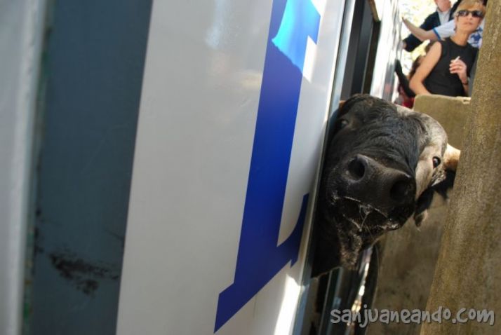 No te pierdas: Guía práctica del Desencajonamiento 2019