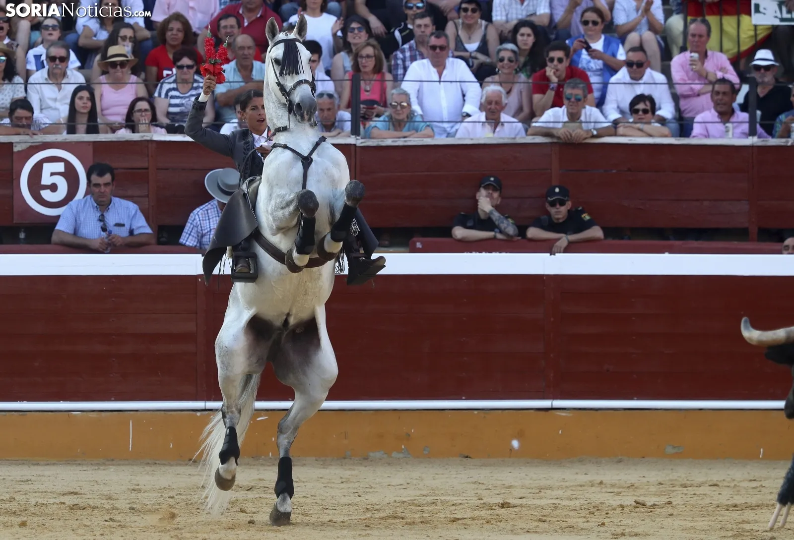 Una imagen de la primera de feria de los Sanjuanes 2019. /SN