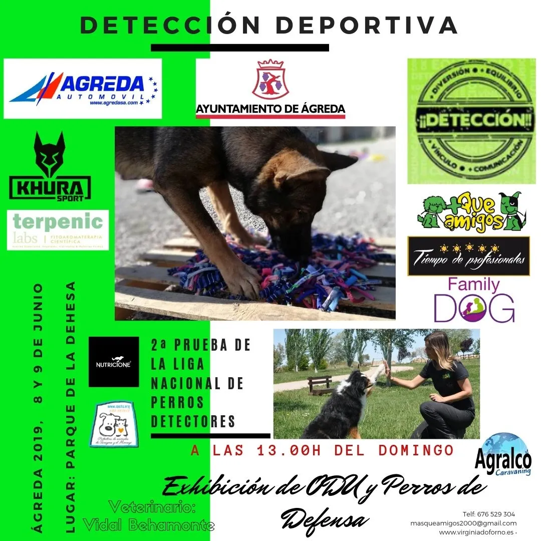 Cartel de la Copa de Perros Detectores. 