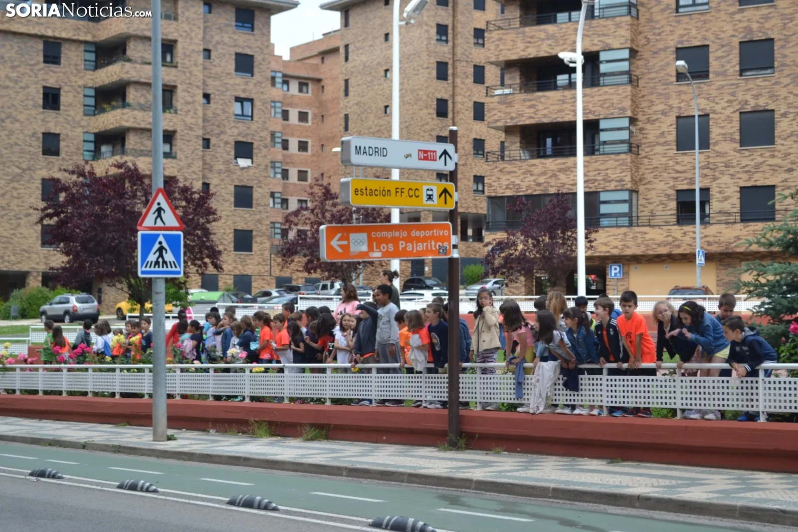 Foto 11 - Cencerros de la Trashumancia en la capital. Oveja que bala, bocado que pierde