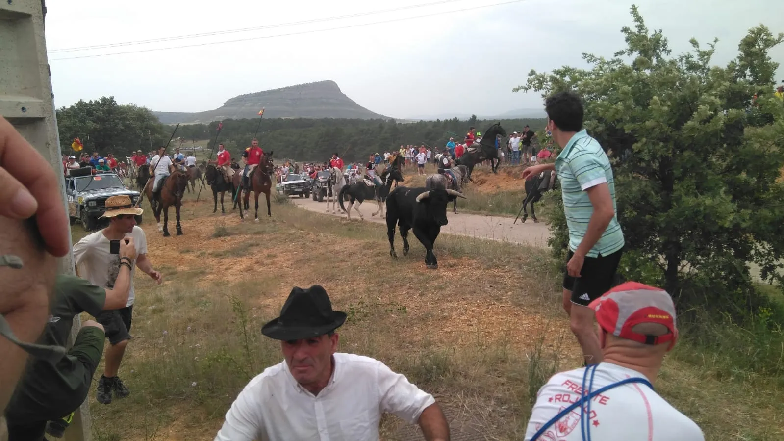 La Saca 2019 ya en Soria