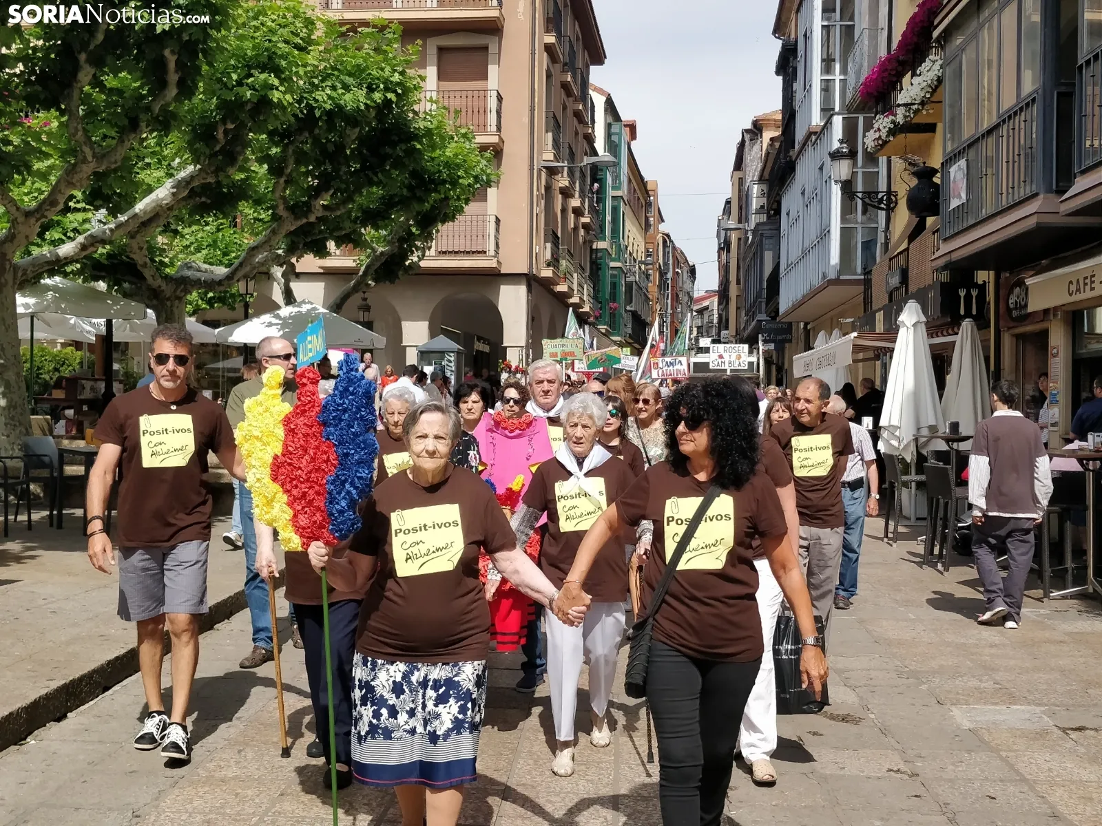 Alzheimer Soria. SN