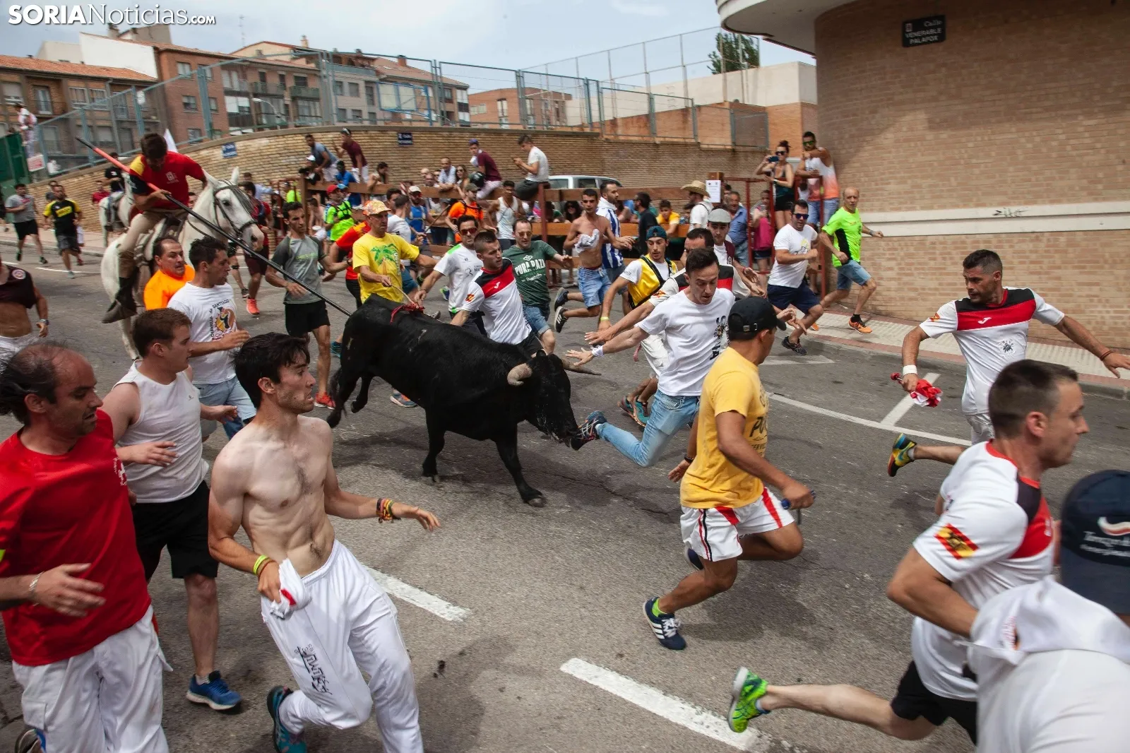 Foto 17 - Recordando San Juan: La Saca 2019, im&aacute;genes y cr&oacute;nica r&aacute;pida  