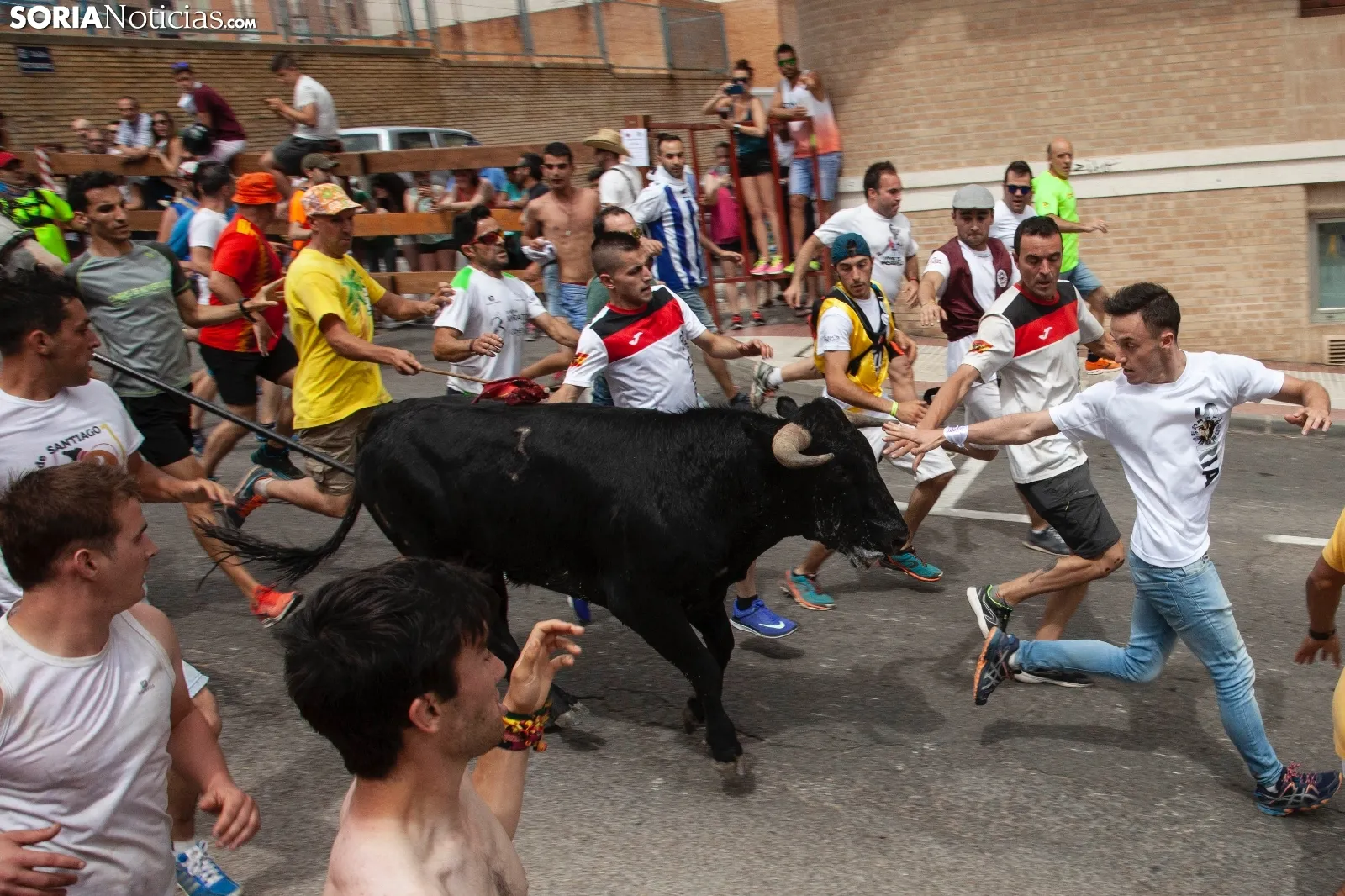 Foto 16 - Recordando San Juan: La Saca 2019, im&aacute;genes y cr&oacute;nica r&aacute;pida  