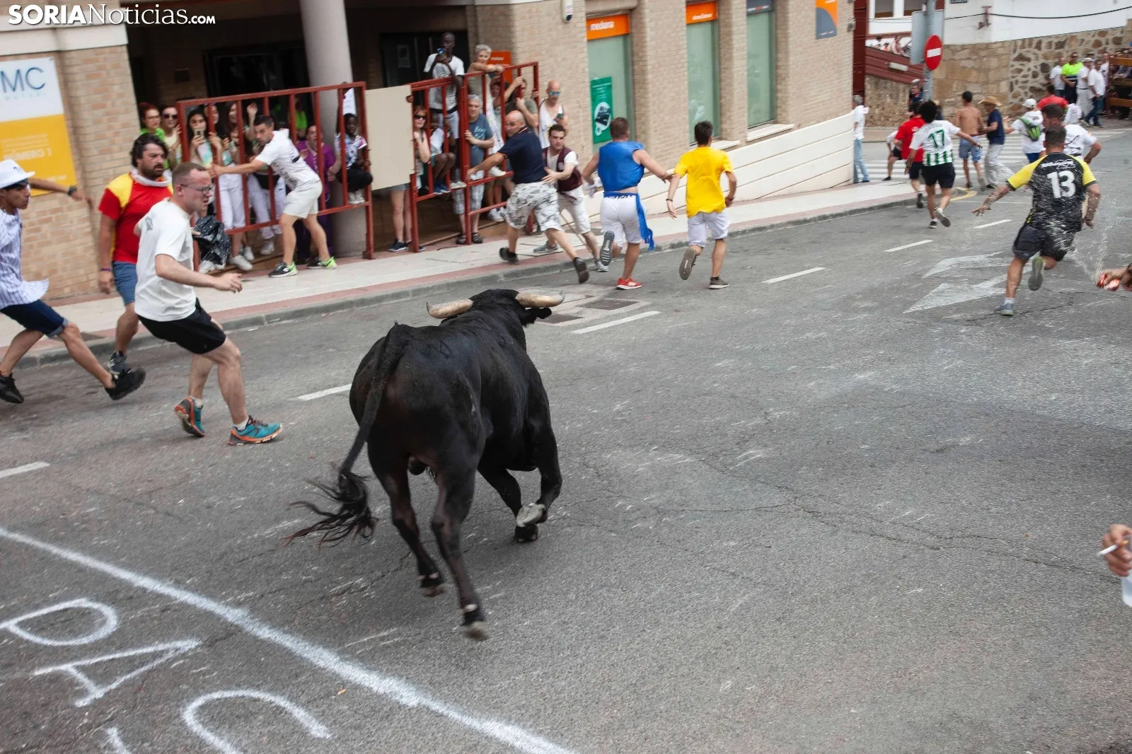 Foto 15 - Recordando San Juan: La Saca 2019, im&aacute;genes y cr&oacute;nica r&aacute;pida  