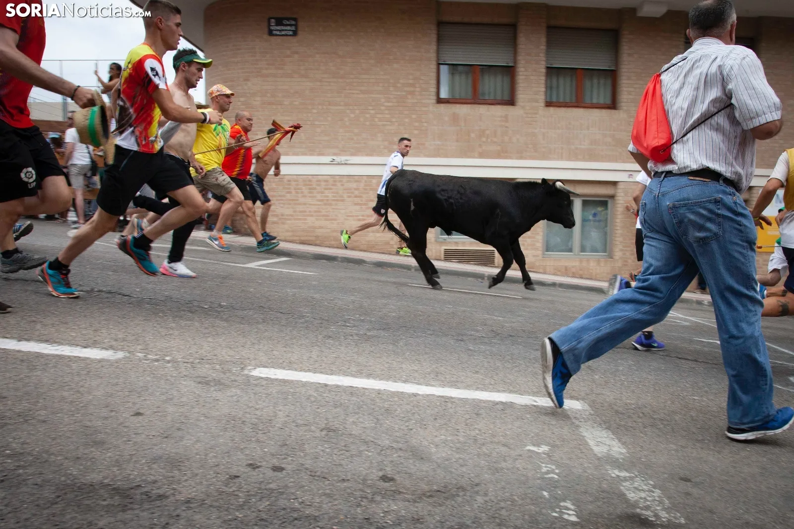 Foto 14 - Recordando San Juan: La Saca 2019, im&aacute;genes y cr&oacute;nica r&aacute;pida  