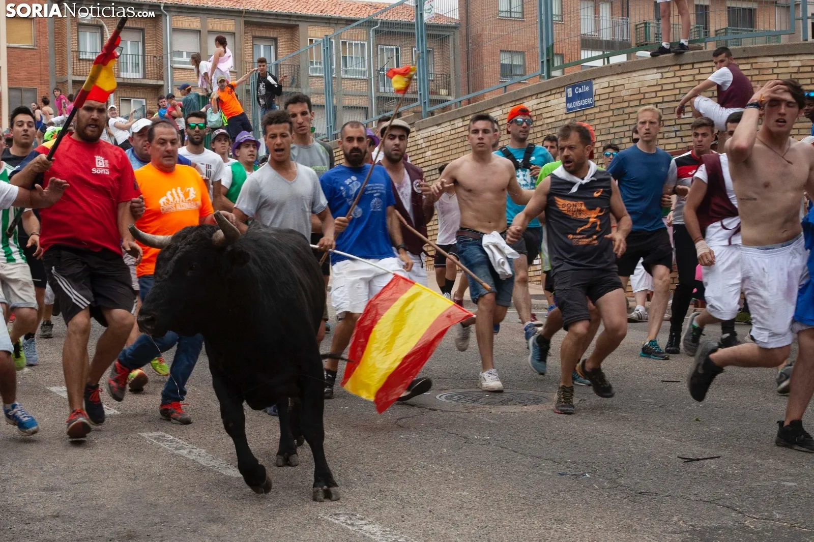 Foto 13 - Recordando San Juan: La Saca 2019, im&aacute;genes y cr&oacute;nica r&aacute;pida  