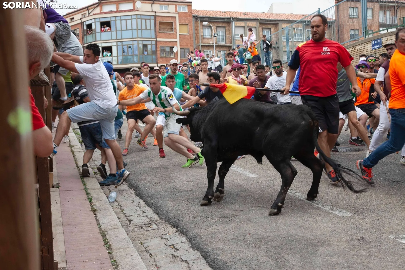 Foto 12 - Recordando San Juan: La Saca 2019, im&aacute;genes y cr&oacute;nica r&aacute;pida  