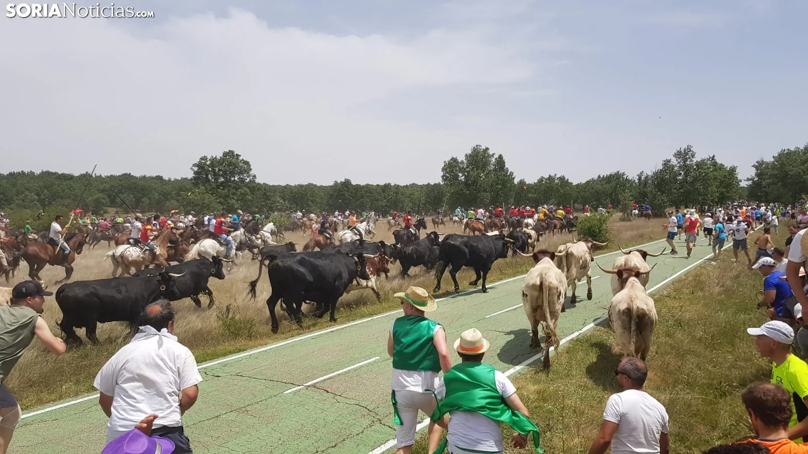 La Saca 2019. SN