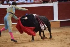 Primero de Castella. /SN