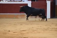 Primero de De Justo. /SN