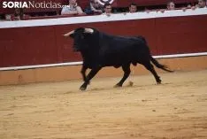 Primero de Aguado. /SN