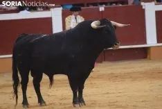 Primero de Aguado. /SN