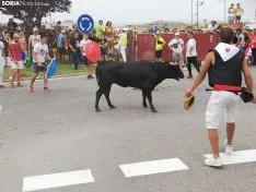 La Saca 2019. SN