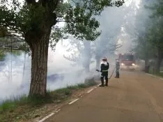 Los bomberos interviniendo en las inmediaciones del río en la capital este lunes. /Ayto