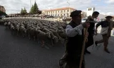 Foto 5 - Cencerros de la Trashumancia en la capital. Oveja que bala, bocado que pierde