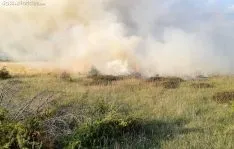 El fuego forestal en Cueva de Ágreda este lunes. /SN
