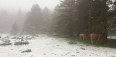 Una de las imágenes con las que despertaba Urbión este viernes. /AS