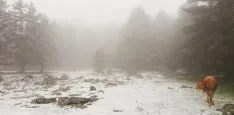 Una de las imágenes con las que despertaba Urbión este viernes. /AS