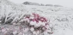 Una de las imágenes con las que despertaba Urbión este viernes. /AS