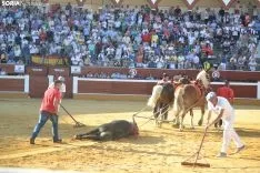 Una imagen de la tarde taurina soriana de este Sábado Agés. /SN