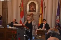 Una imagen de la jornada en el Palacio Provincial. /SN