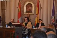 Una imagen de la jornada en el Palacio Provincial. /SN