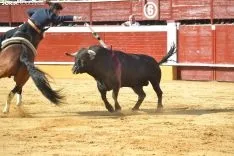 Una imagen de los rejones de este Miércoles El Pregón. /SN