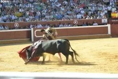 Una imagen de esta tarde en el coso de San Benito. /SN