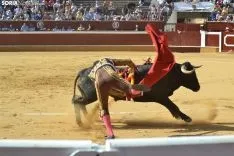 Una imagen de esta tarde en el coso de San Benito. /SN