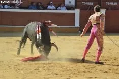 Una imagen de esta tarde en el coso de San Benito. /SN