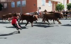 Una imagen del encierro de este domingo. /SN