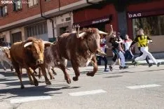 Encierro Soria / María Ferrer