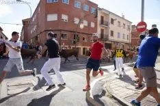 Encierro Soria / María Ferrer