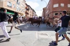 Encierro Soria / María Ferrer