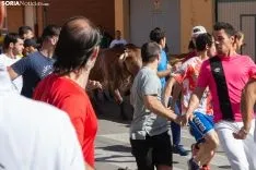Encierro Soria / María Ferrer