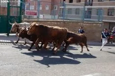 Encierro Soria / María Ferrer