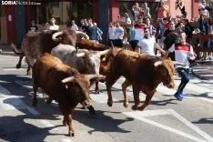 Encierro Soria / María Ferrer