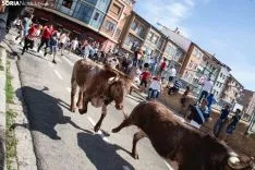 Encierro Soria / María Ferrer