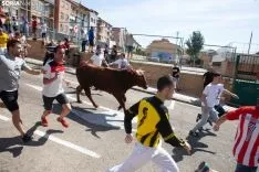 Encierro Soria / María Ferrer