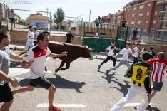 Encierro Soria / María Ferrer