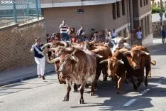 Encierro Soria / María Ferrer