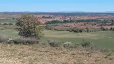 Romería a la atalaya de Quintanilla de Tres Barrios./ @Leopoldo Torre