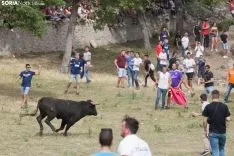 La Compra / María Ferrer 