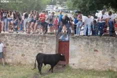 La Compra / María Ferrer 