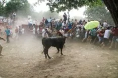 La Compra / María Ferrer 