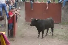 Lavalenguas / María 